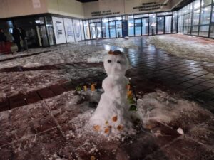 Potluck and First snow