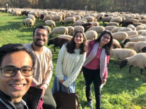 Sheep migration, Bamberg missing photo and more…